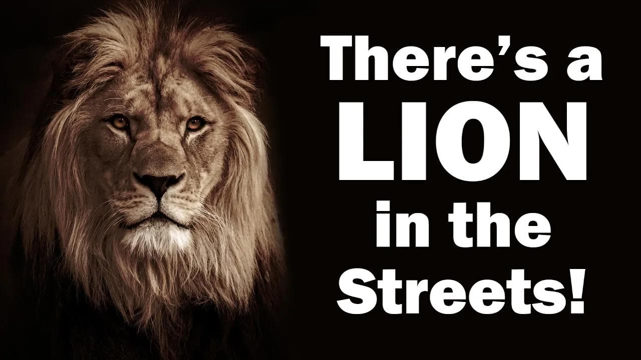 One Lion, Two Lions, No Lion at All!